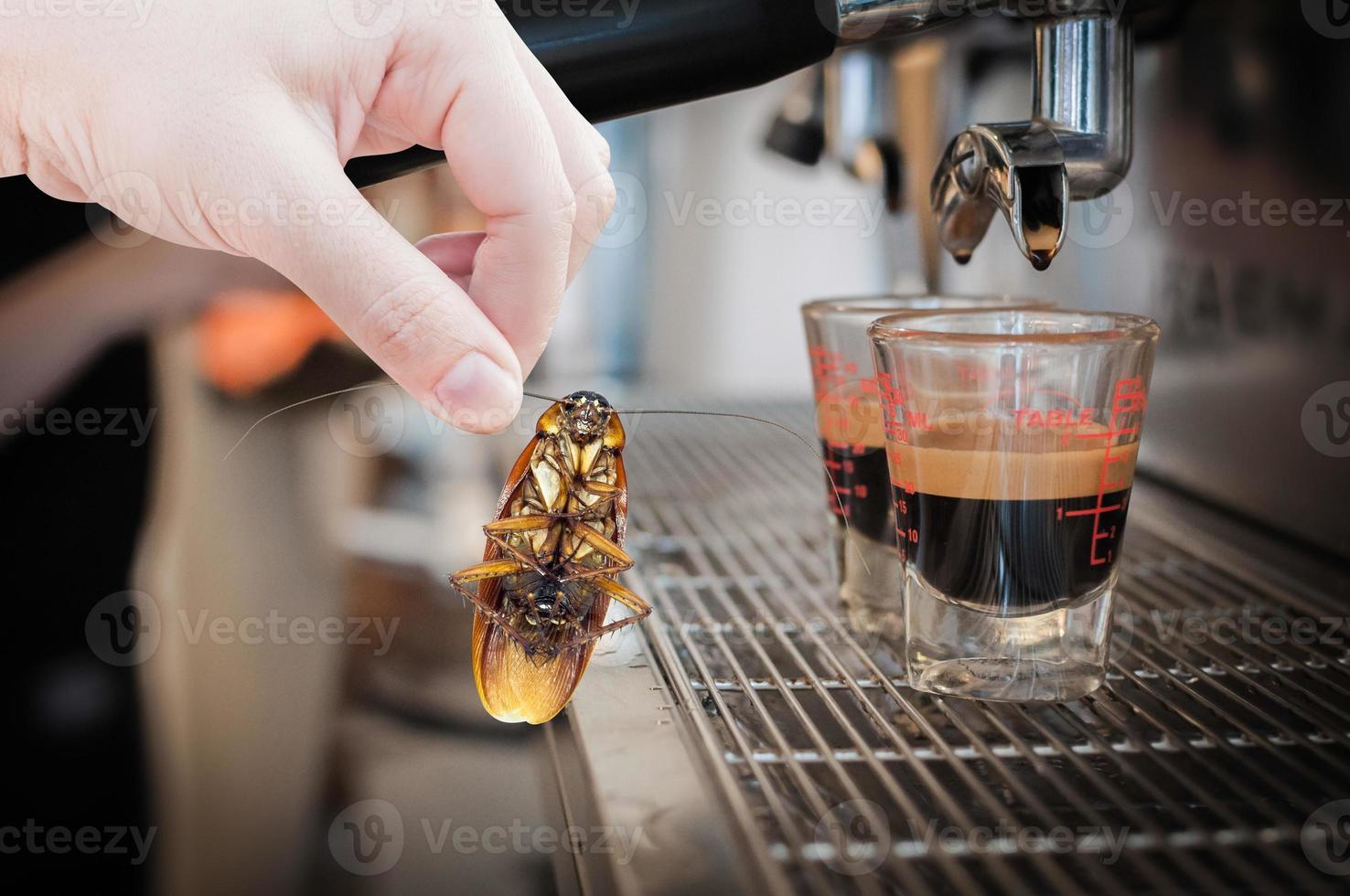 Woman's Hand holding cockroach on coffee machine fresh background, eliminate cockroach in coffee shop and kitchen photo
