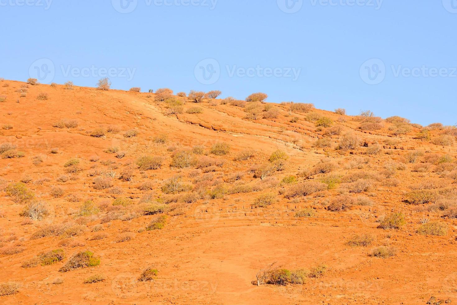 Scenic desert landscape photo
