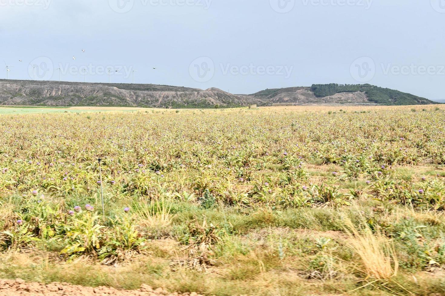 Scenic mountain landscape photo
