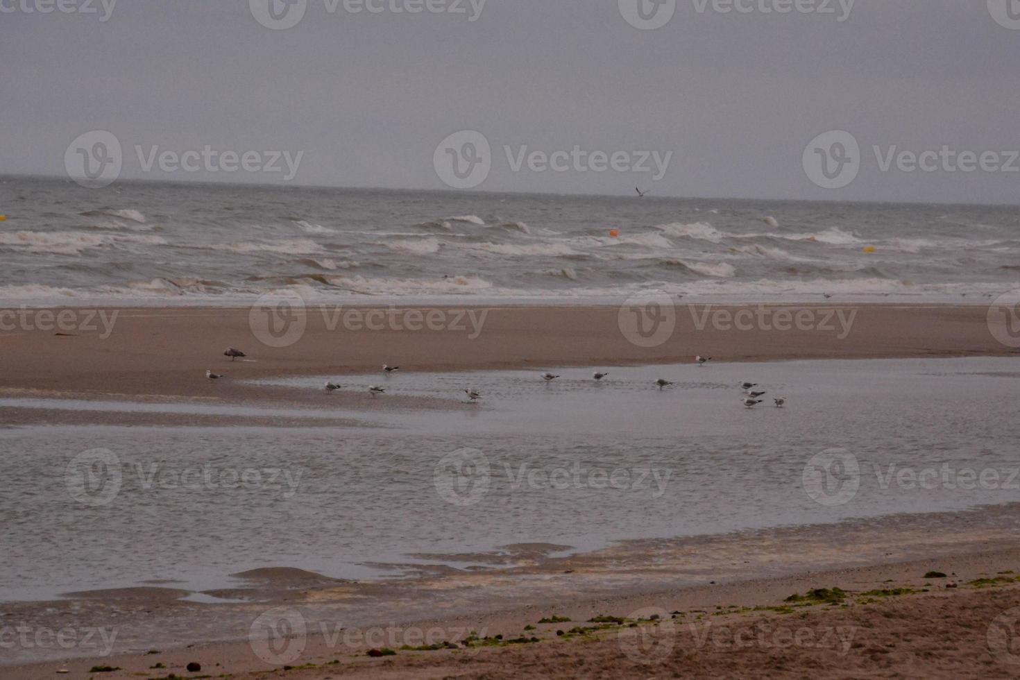 Scenic coastal view photo