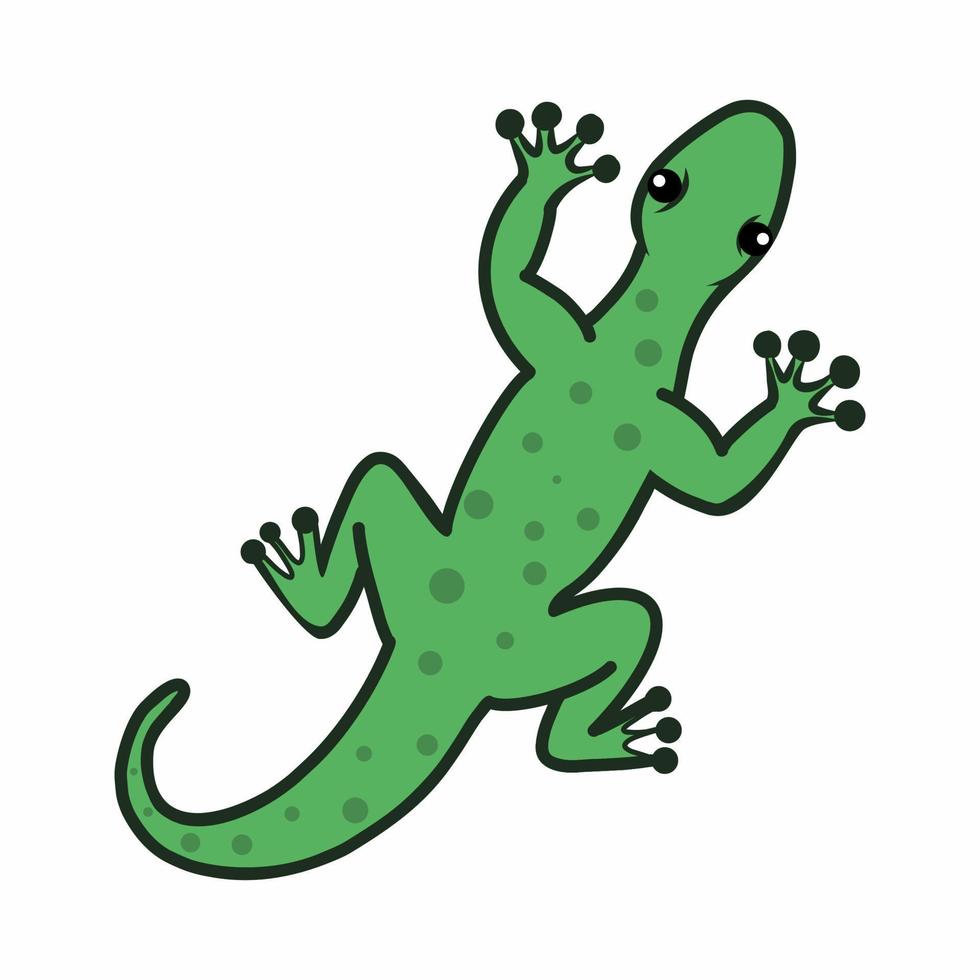 Gecko. Cute lizard on white background. Vector doodle illustration