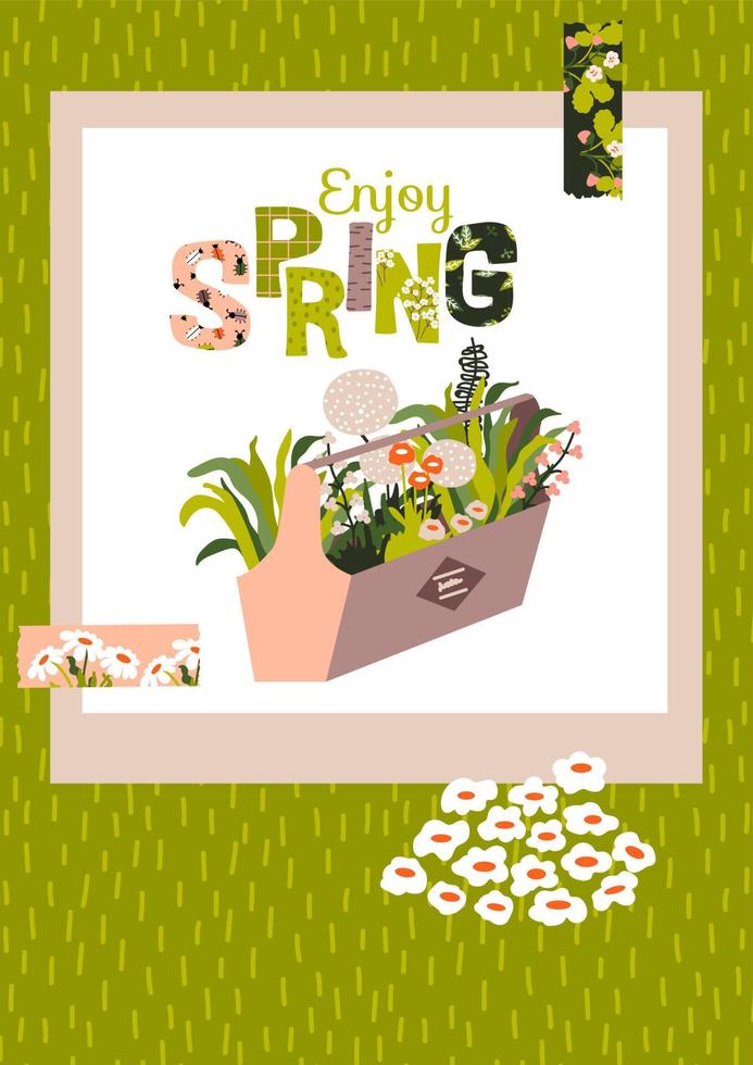 Spring inspirational card with text Enjoy Spring. Vector illustration with Garden flowers and herbs in a wooden box. Washi tapes.