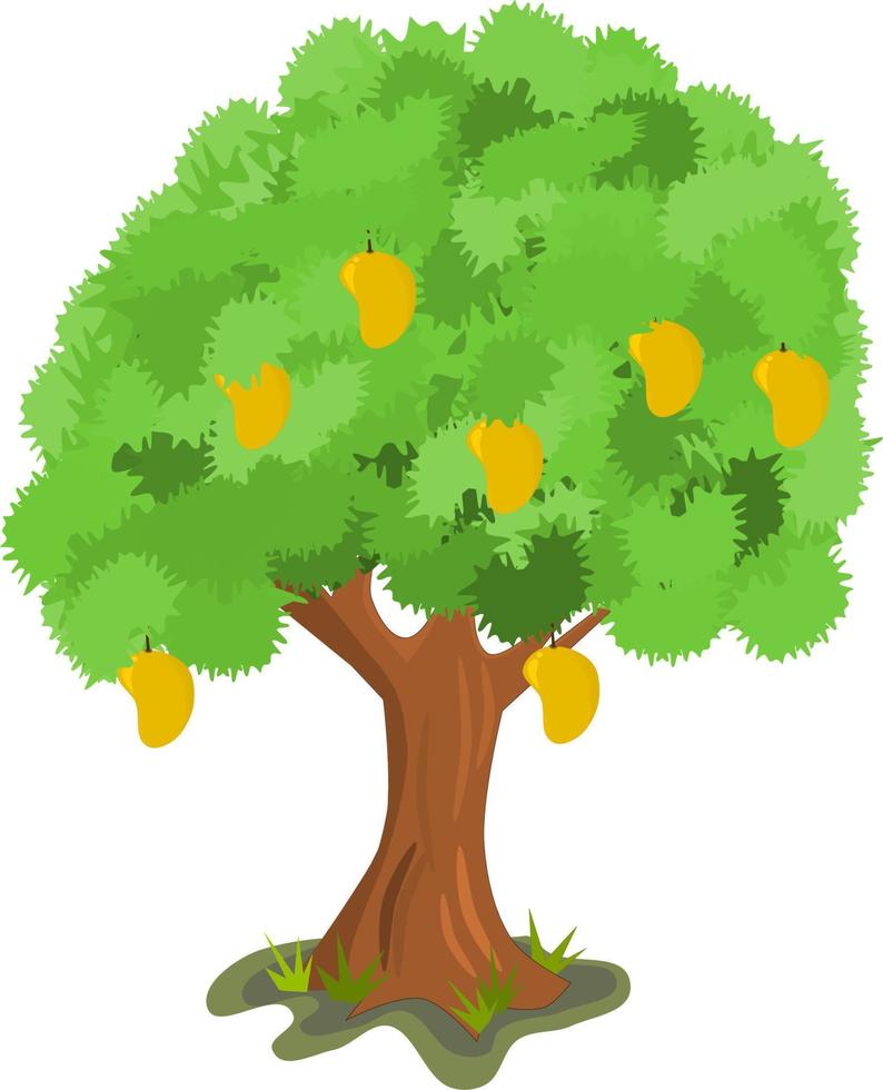 mango tree and grass vector illustration. Kids drawing.