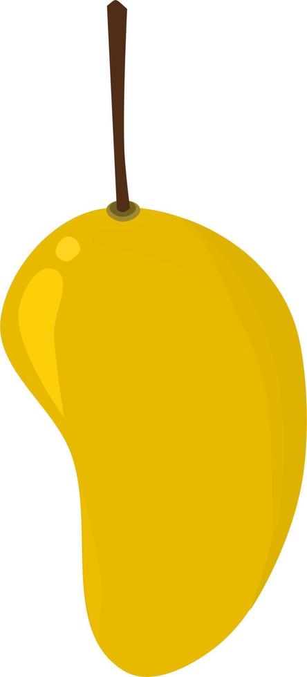 Mango fruit vector isolated