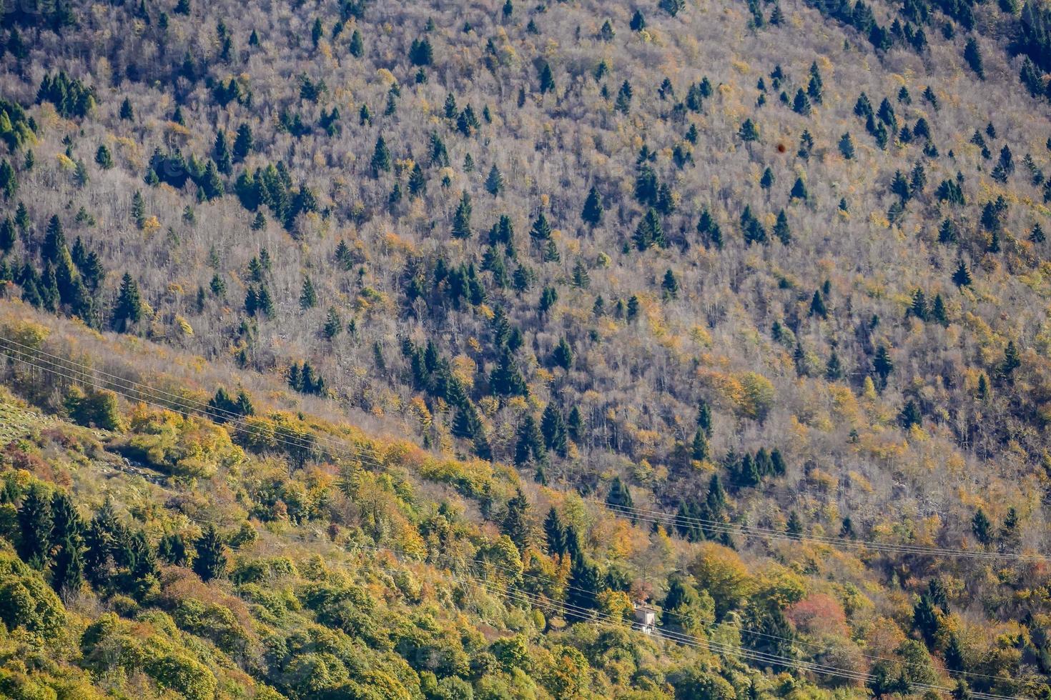 Scenic rural landscape photo