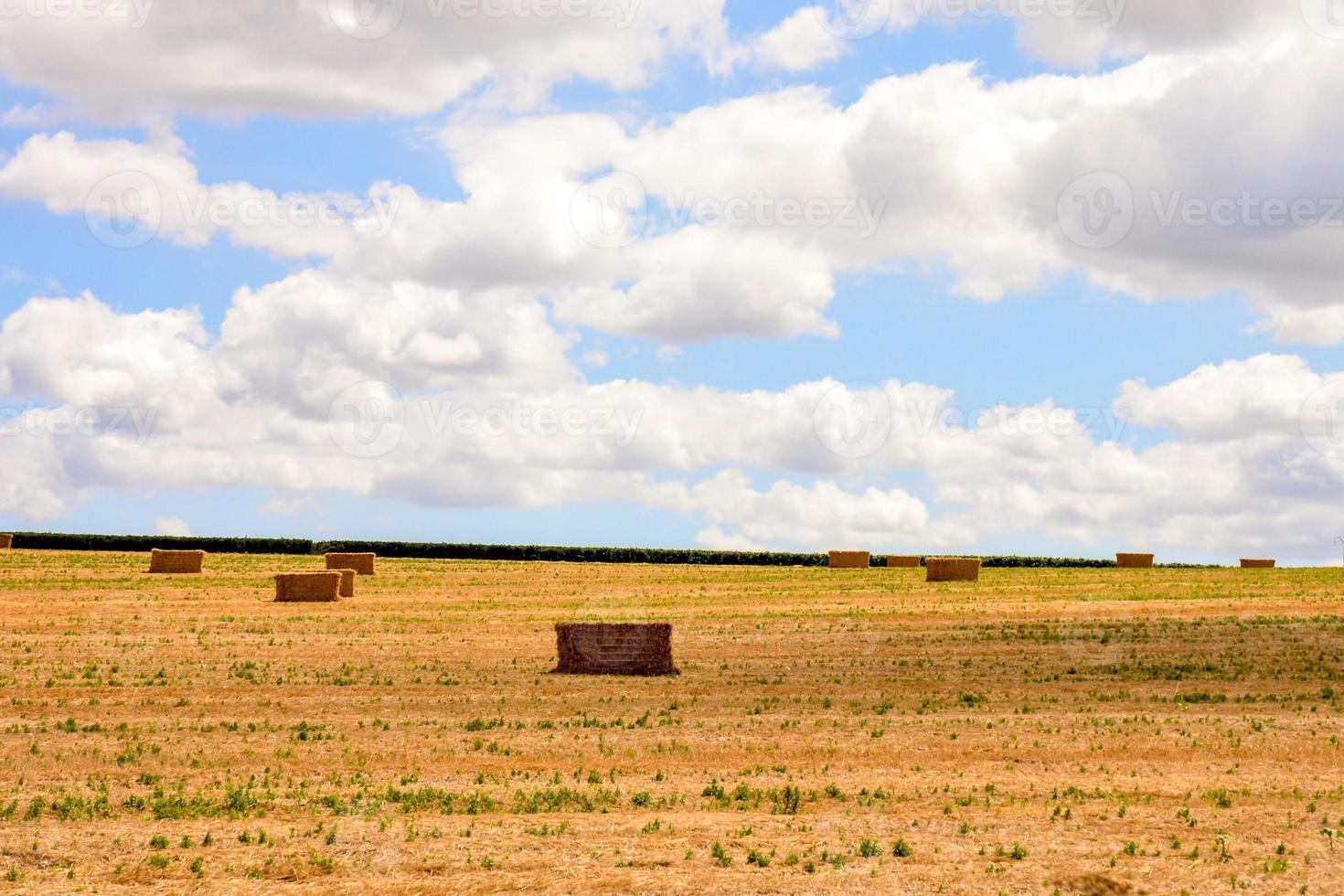 escénico rural paisaje foto