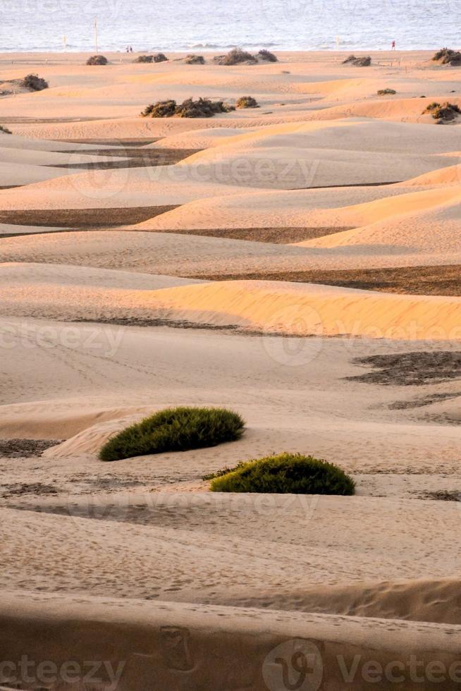 Sand dunes by the sea photo