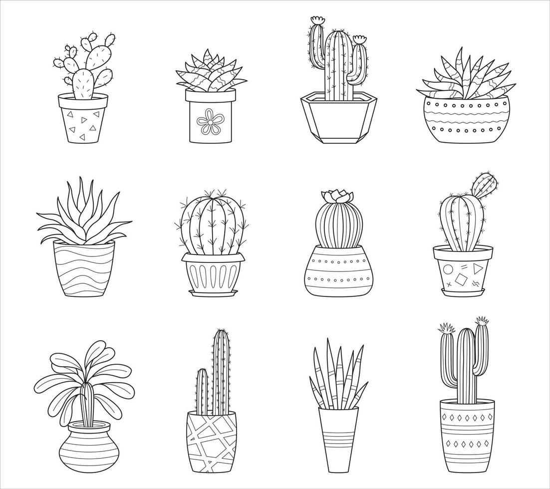 Set of outline doodle cactus and succulents. Collection with different types of cacti and home plants. Black and white linear vector illustrations isolated on white background.
