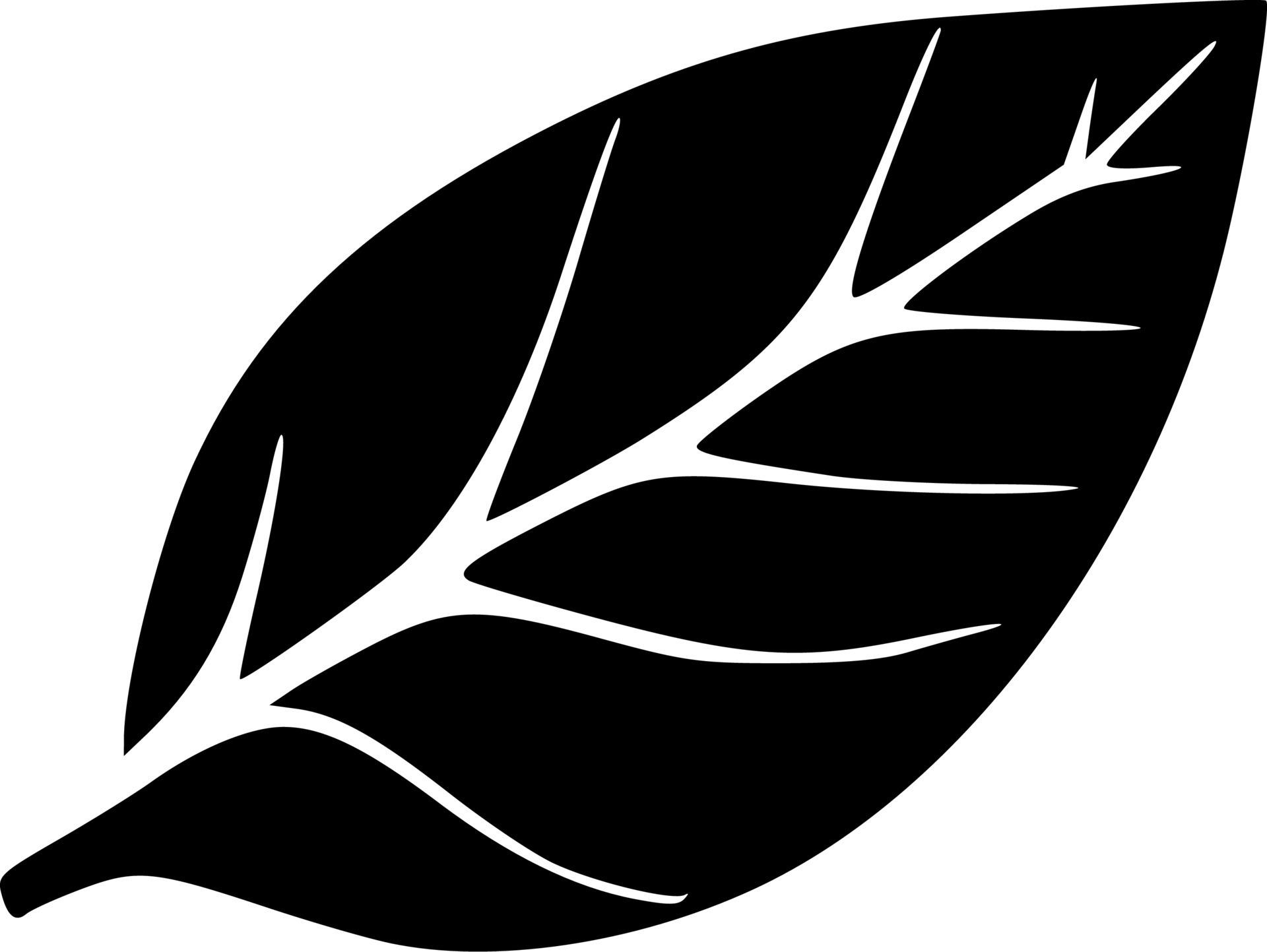 black leaf icon 21816206 Vector Art at Vecteezy
