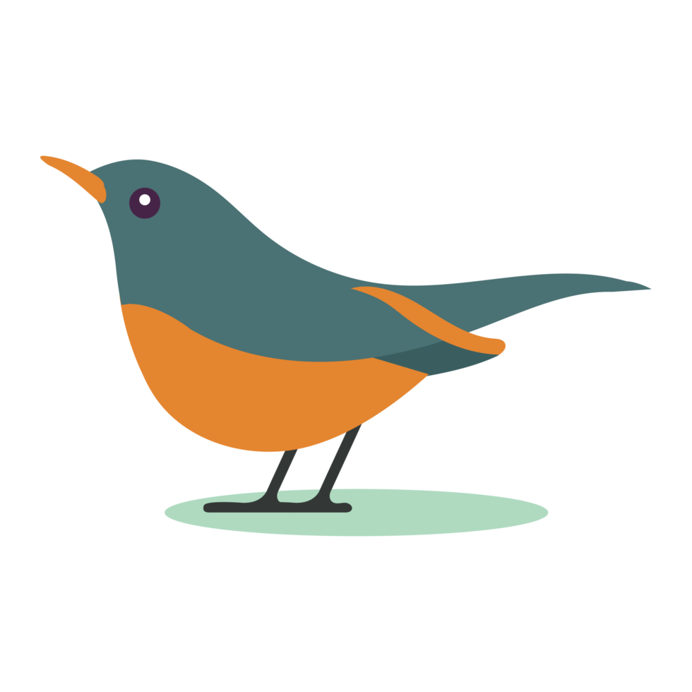 Cute Bird Illustration png