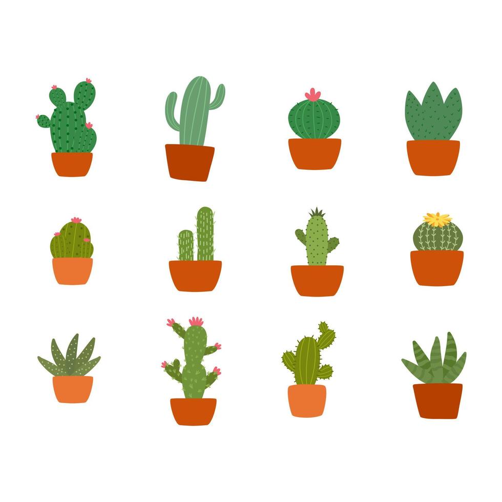 Cactus Plant Illustration Vector Set. Home plants cactus in pots and with flowers