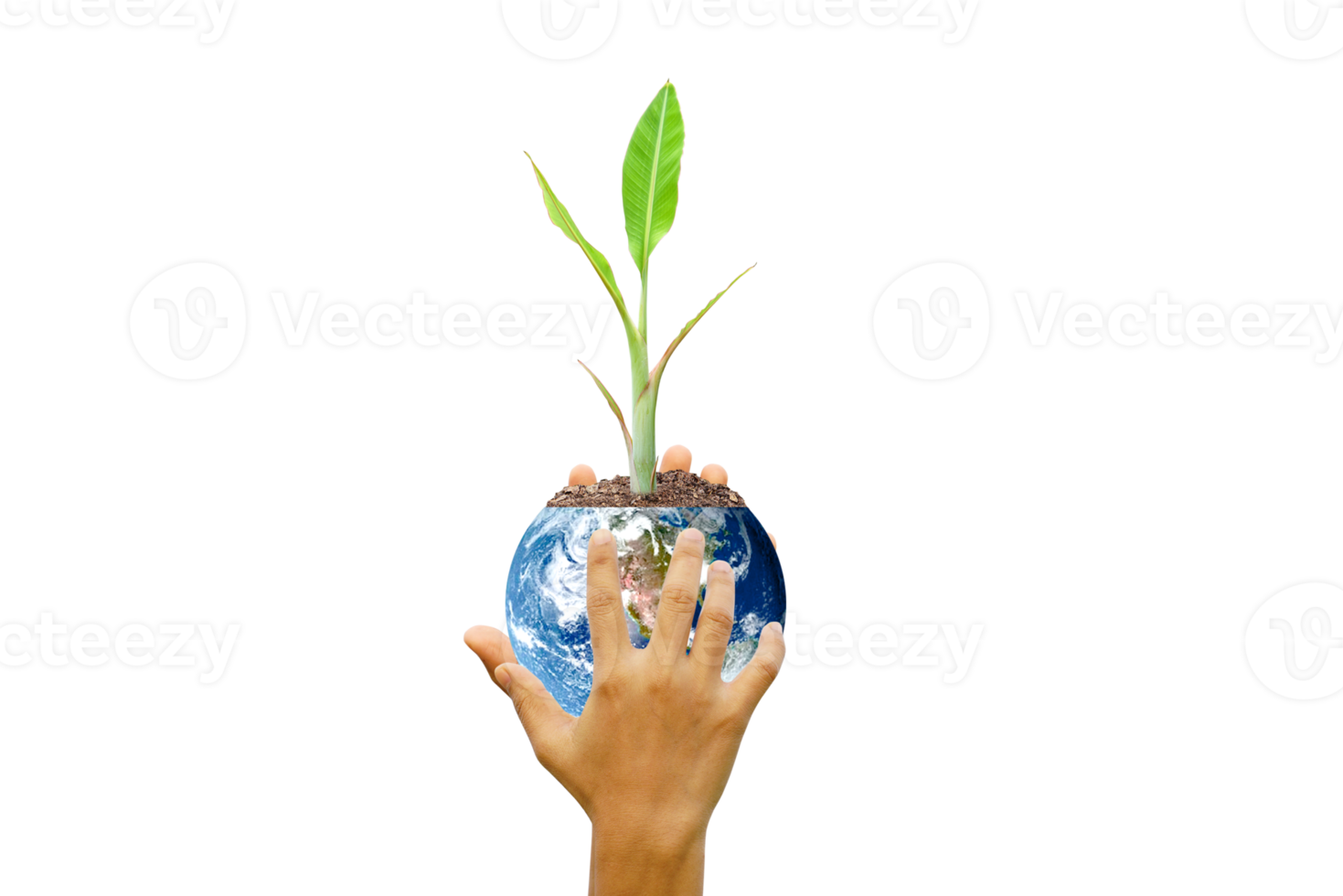 World Environment Day. Earth and trees in human hands. png