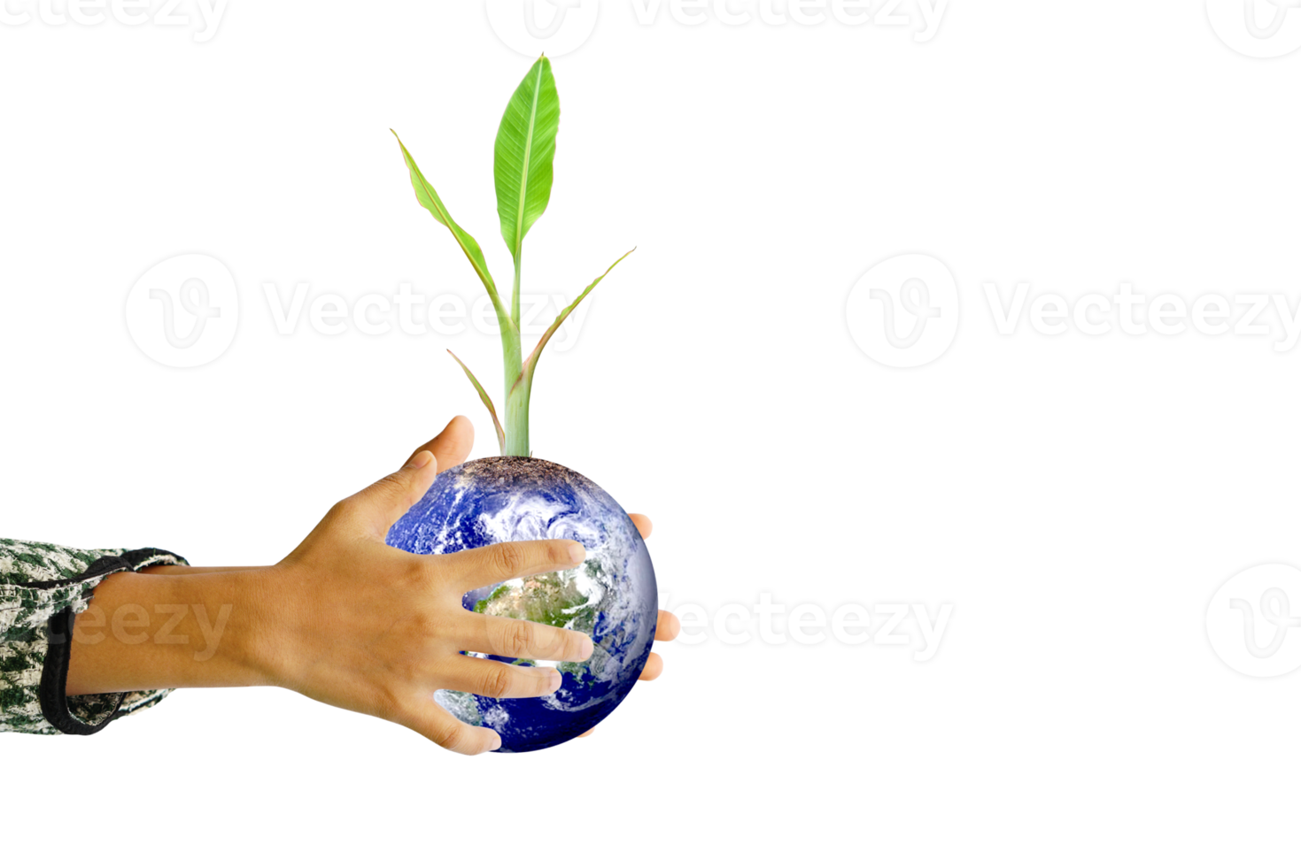 World Environment Day. Earth and trees in human hands. png