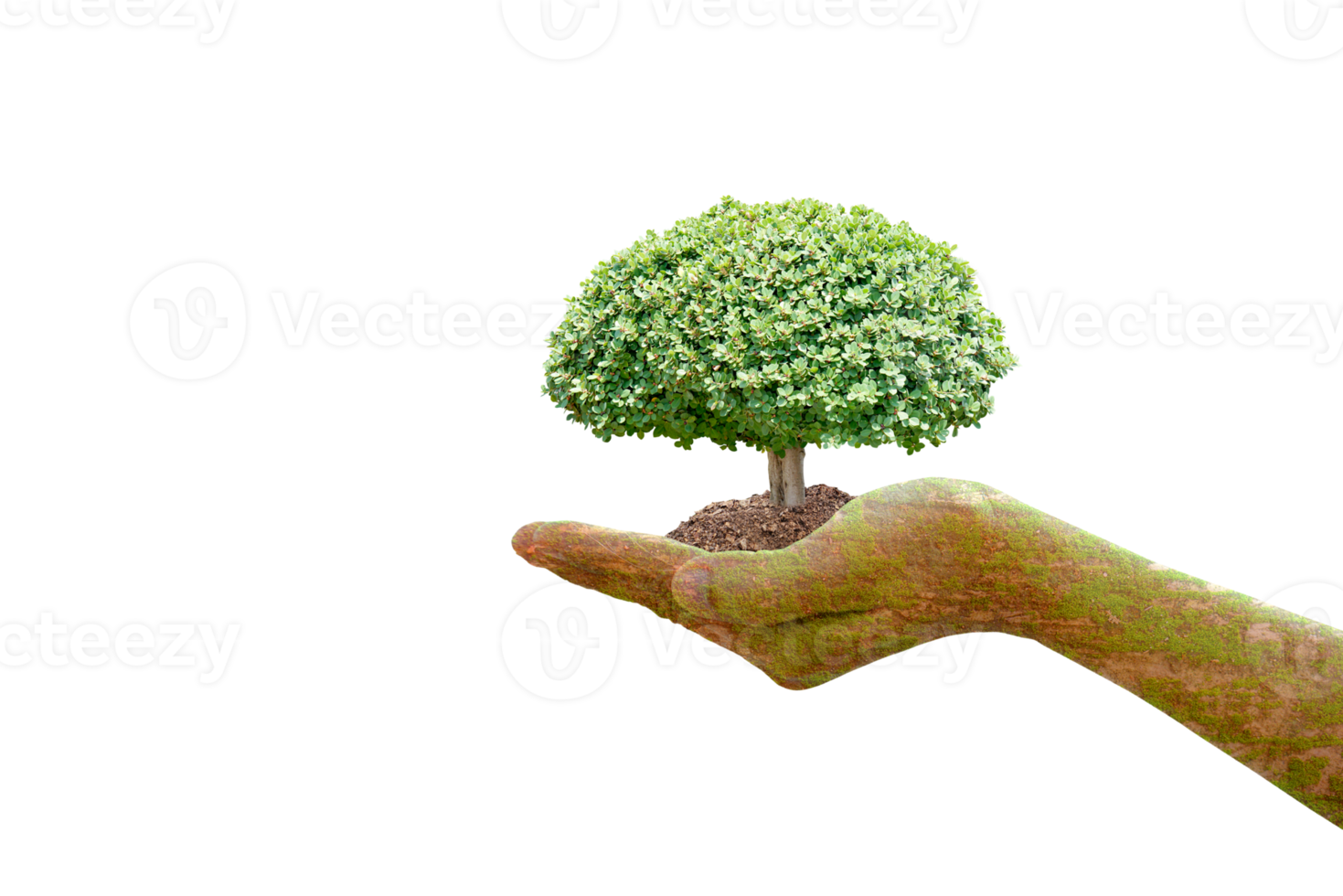 concept of saving the world tree in human hands png