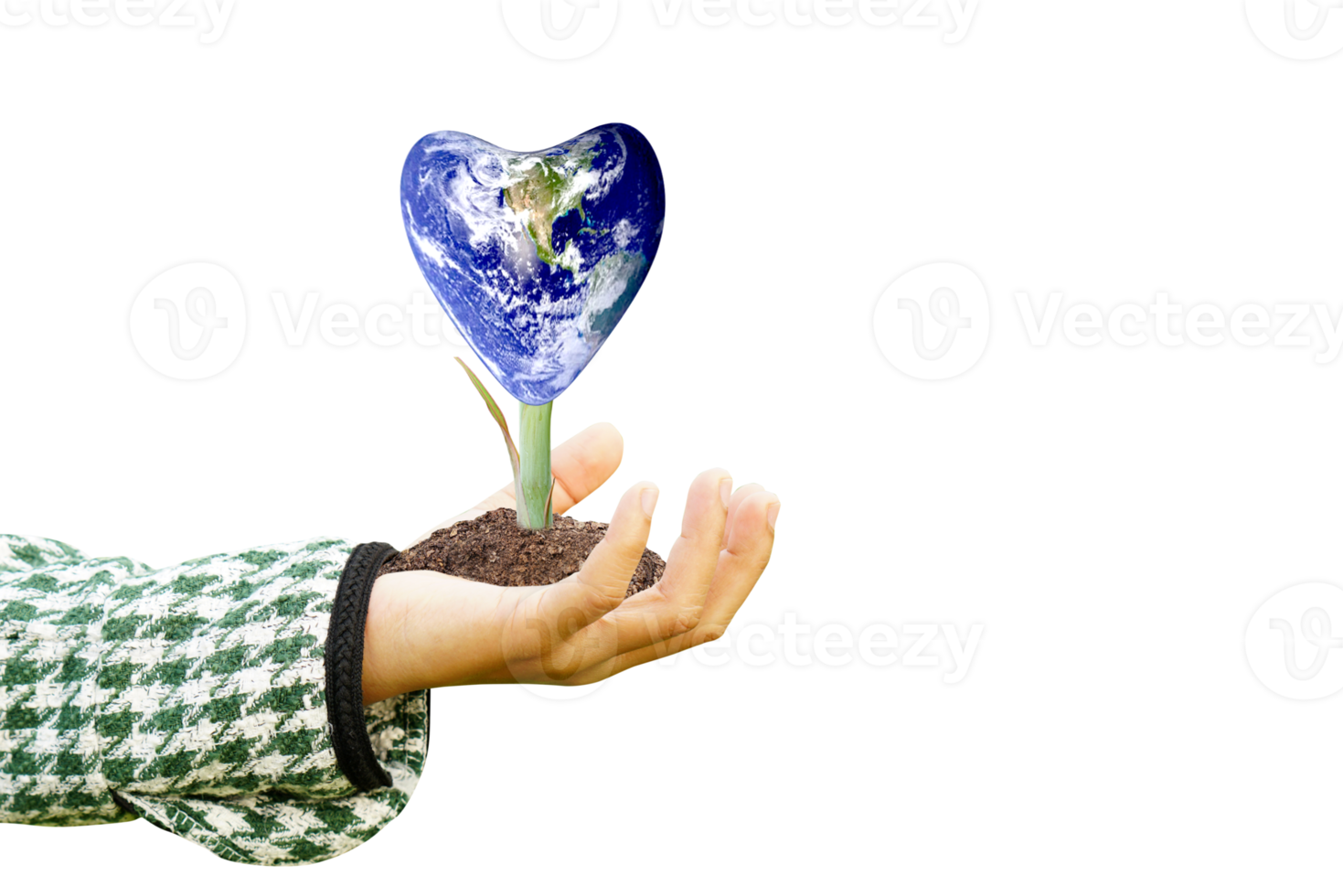 World Environment Day. Earth and trees in human hands. png