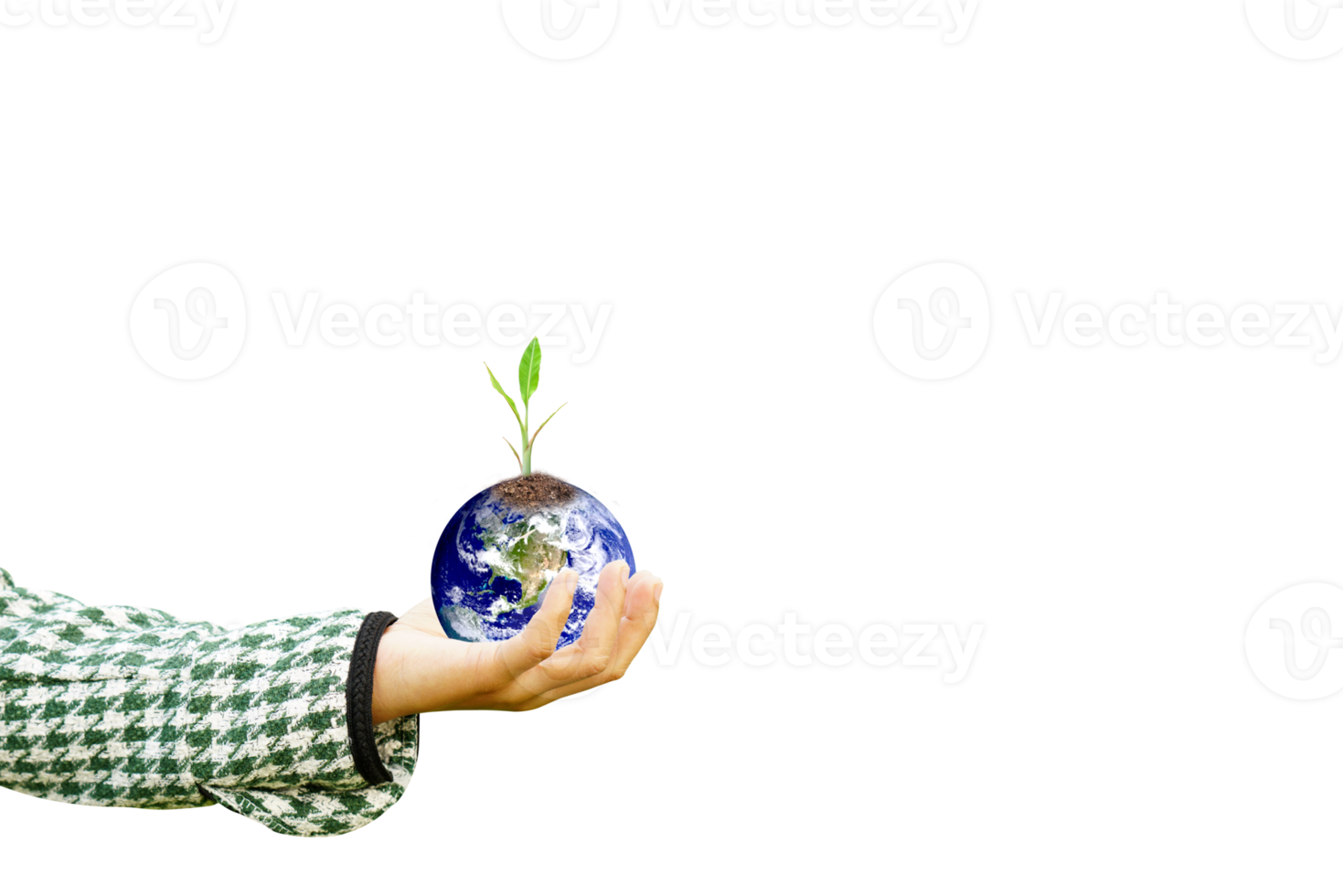 World Environment Day. Earth and trees in human hands. png