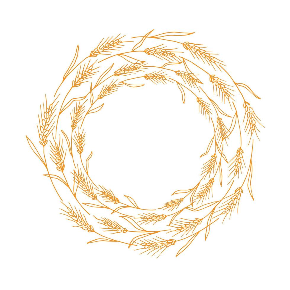 Wreath frame from ears of wheat.A bunch of ears of wheat,dried whole grains.Cereal harvest,agriculture,organic farming,healthy food symbol.Ears of wheat hand drawn.Design element. Isolated background vector