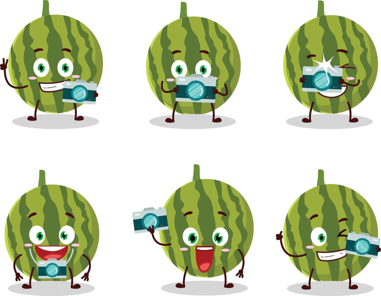 Photographer profession emoticon with watermelon cartoon character vector