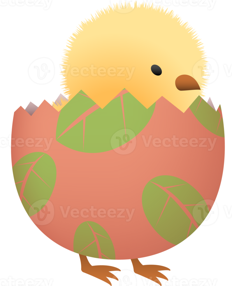 Chick in broken Easter egg with leaf lower part png