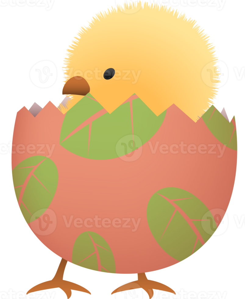 Chick in broken Easter egg with leaf lower part png