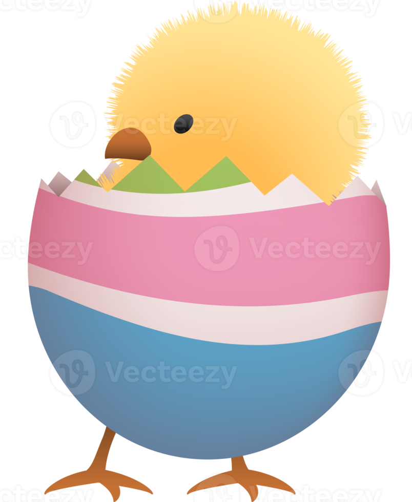 Chick in broken Easter egg with stripe lower part png