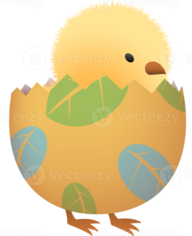 Chick in broken Easter egg with leaf lower part png