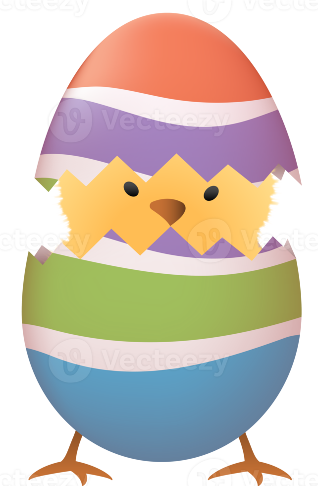 Chick in broken Easter egg with stripe png