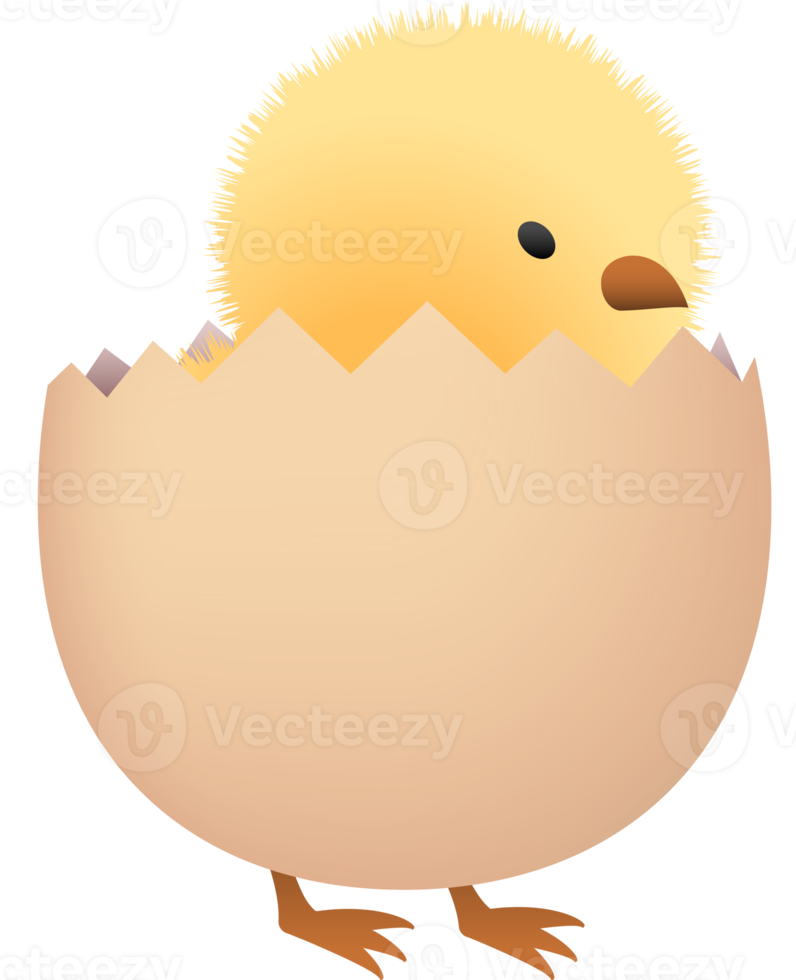 Chick in broken brown egg lower part png