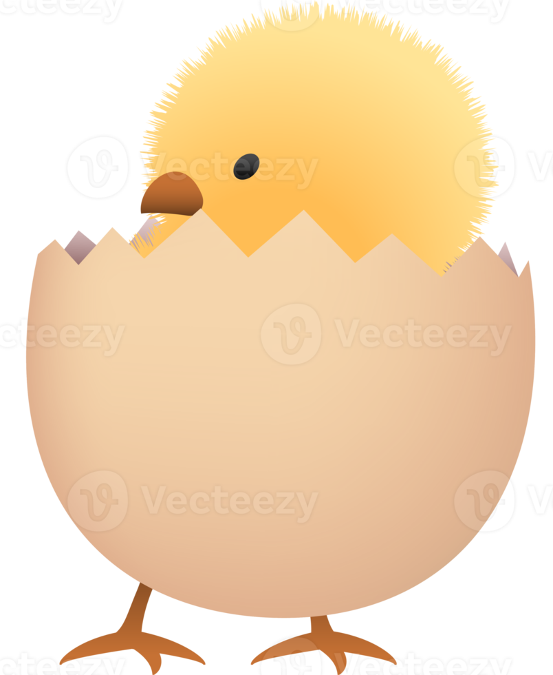 Chick in broken brown egg lower part png