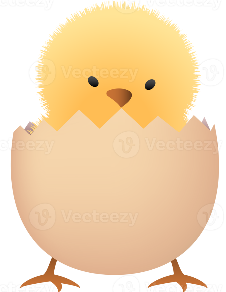 Chick in broken brown egg lower part png