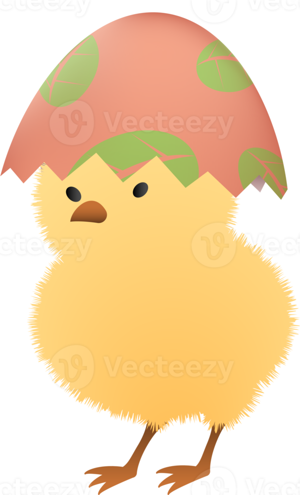 Chick in broken Easter egg with leaf upper part png