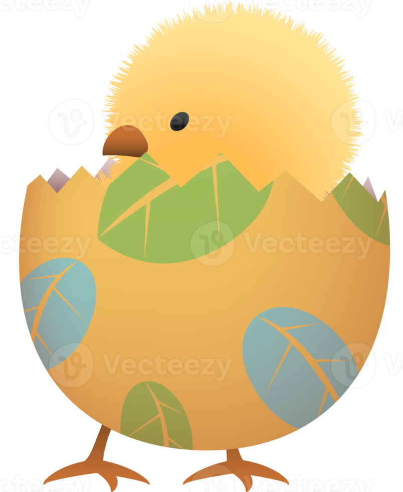 Chick in broken Easter egg with leaf lower part png