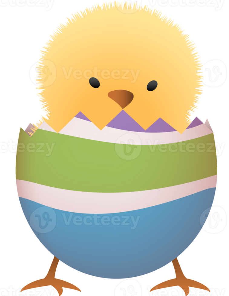 polluelo en roto Pascua de Resurrección huevo con raya inferior parte png