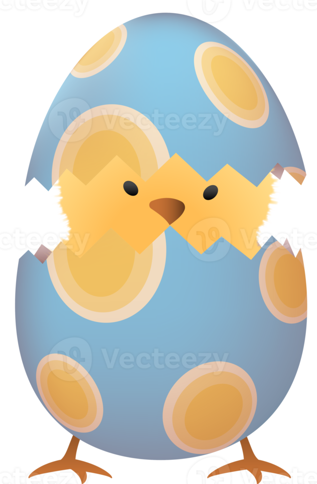 Chick in broken Easter egg with oval png