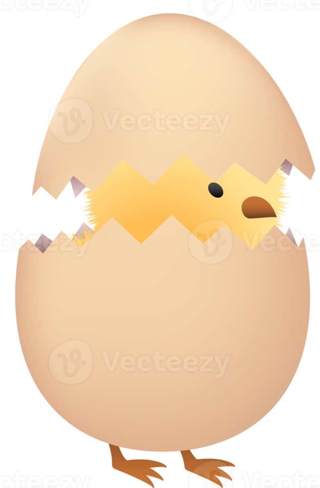 Chick in broken brown egg png