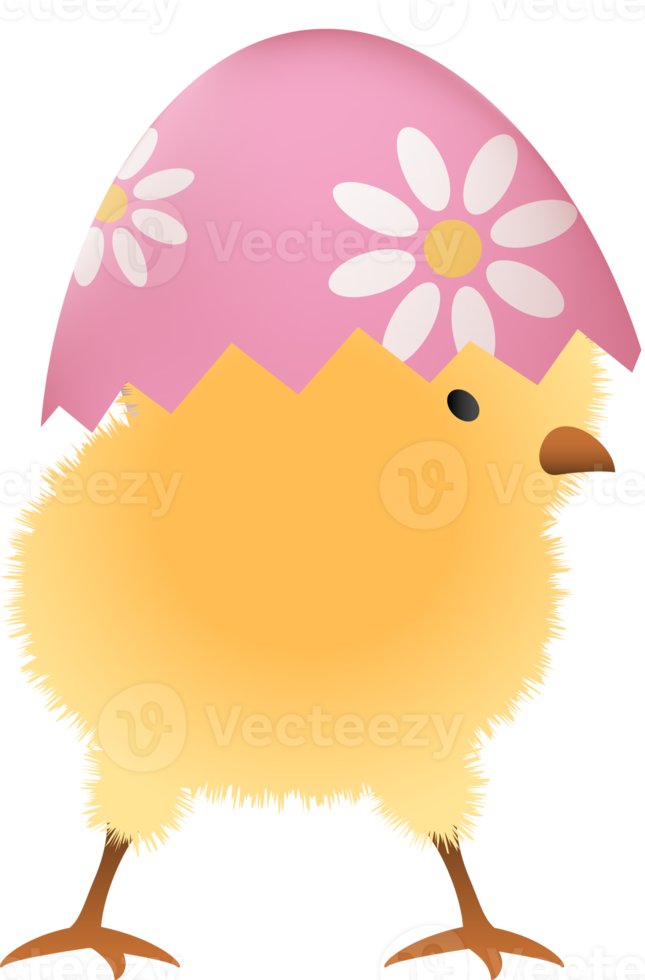 polluelo en roto Pascua de Resurrección huevo con flor Superior parte png