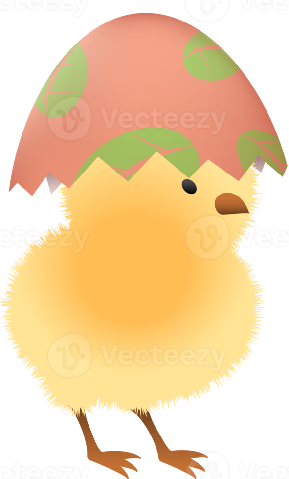 Chick in broken Easter egg with leaf upper part png
