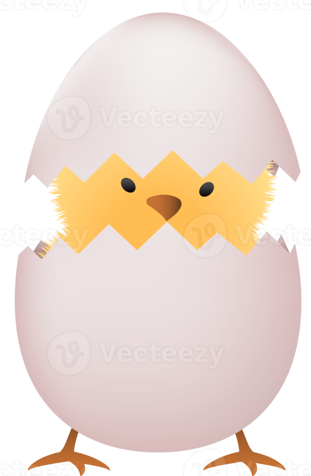 Chick in broken white egg png