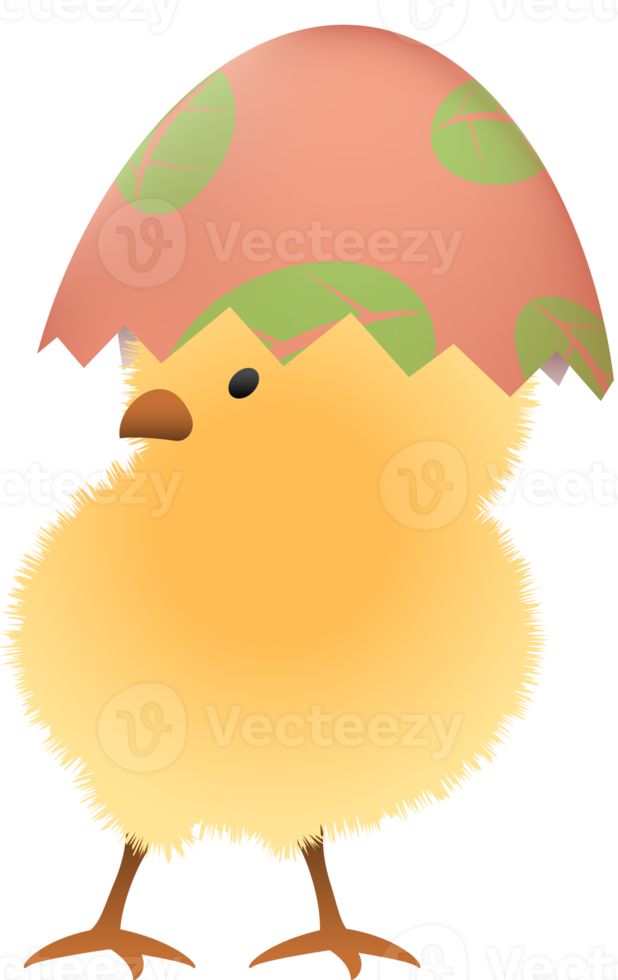 Chick in broken Easter egg with leaf upper part png