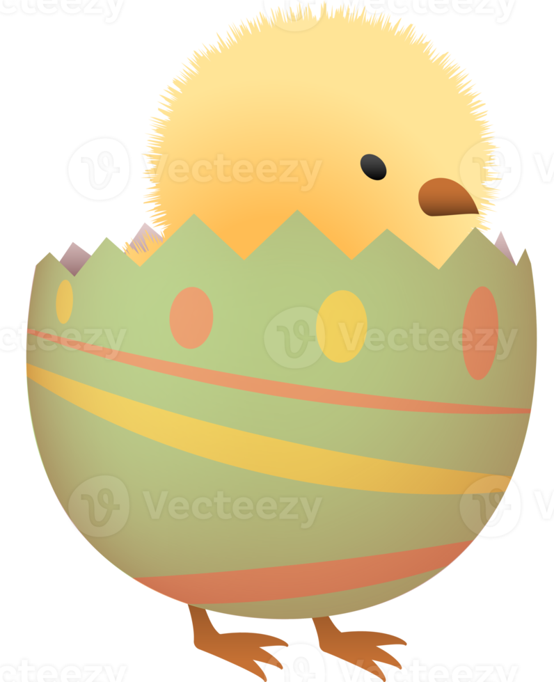 pulcino nel rotto Pasqua uovo con linea inferiore parte png