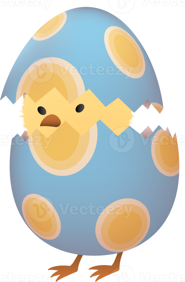 Chick in broken Easter egg with oval png