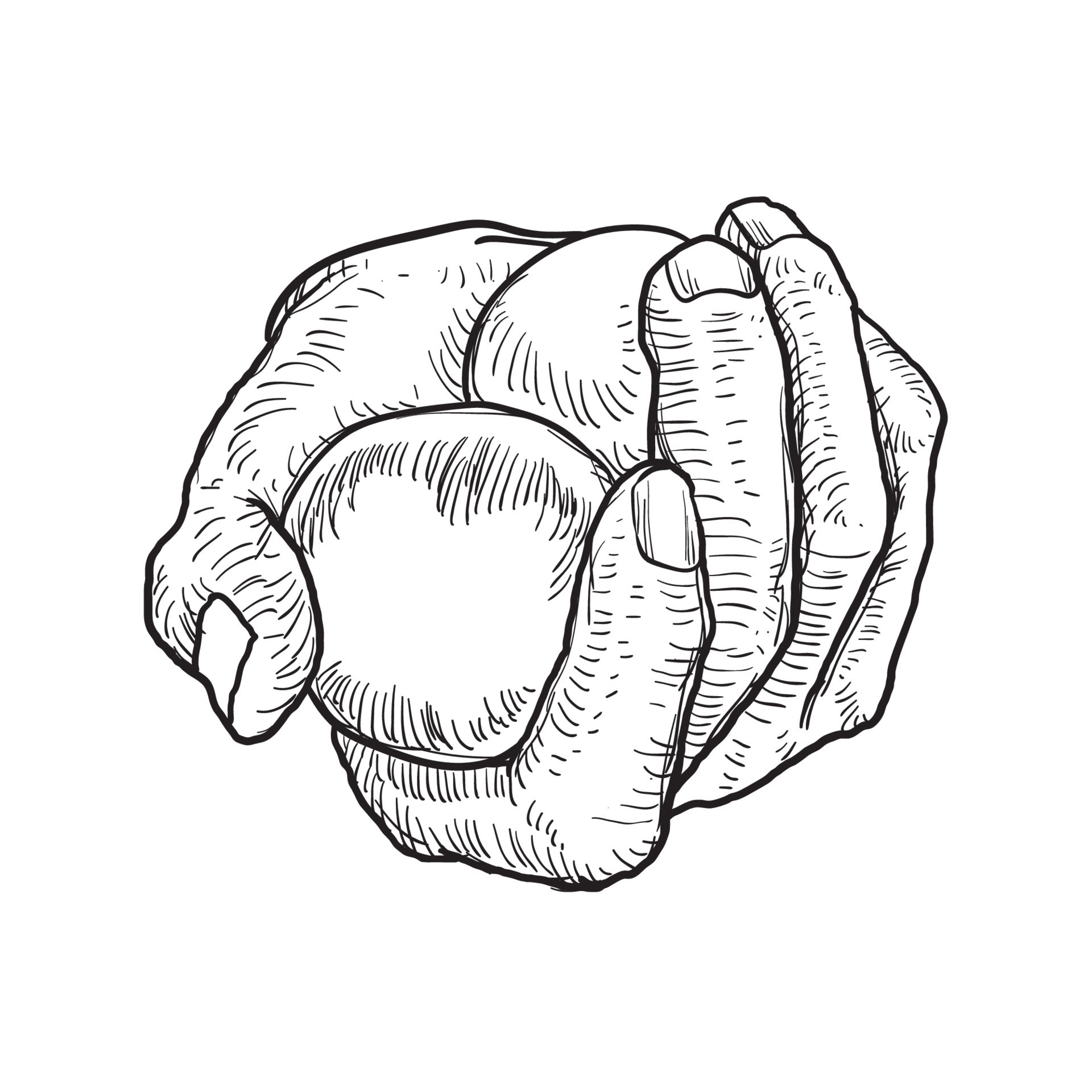 sketch of a hand holding a small ball 21820061 Vector Art at Vecteezy