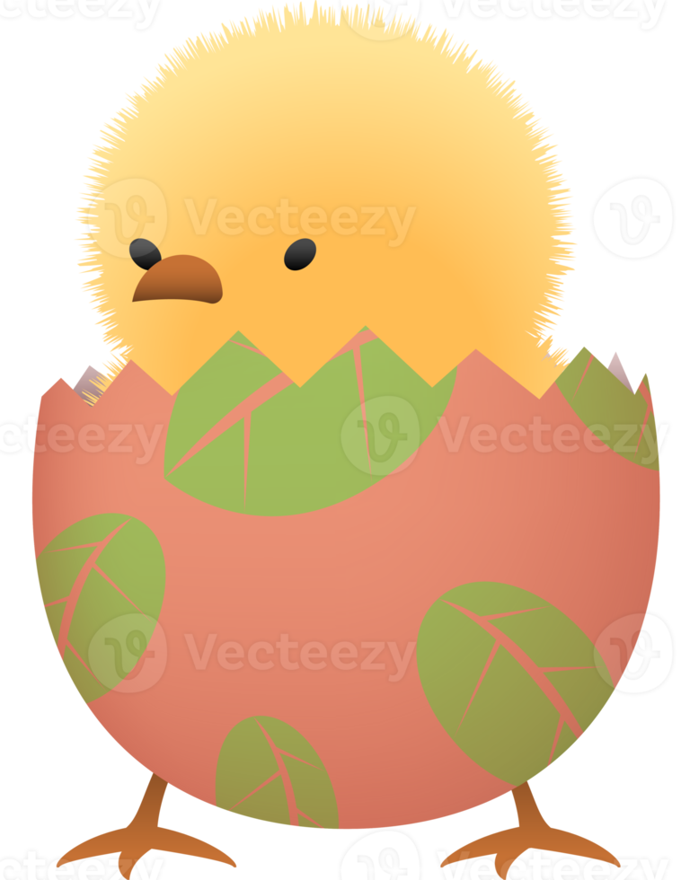 Chick in broken Easter egg with leaf lower part png