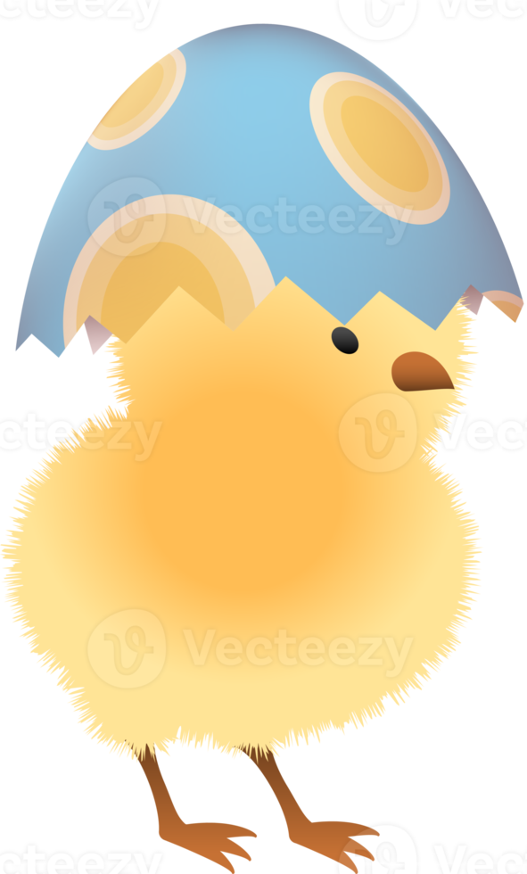 Chick in broken Easter egg with oval upper part png