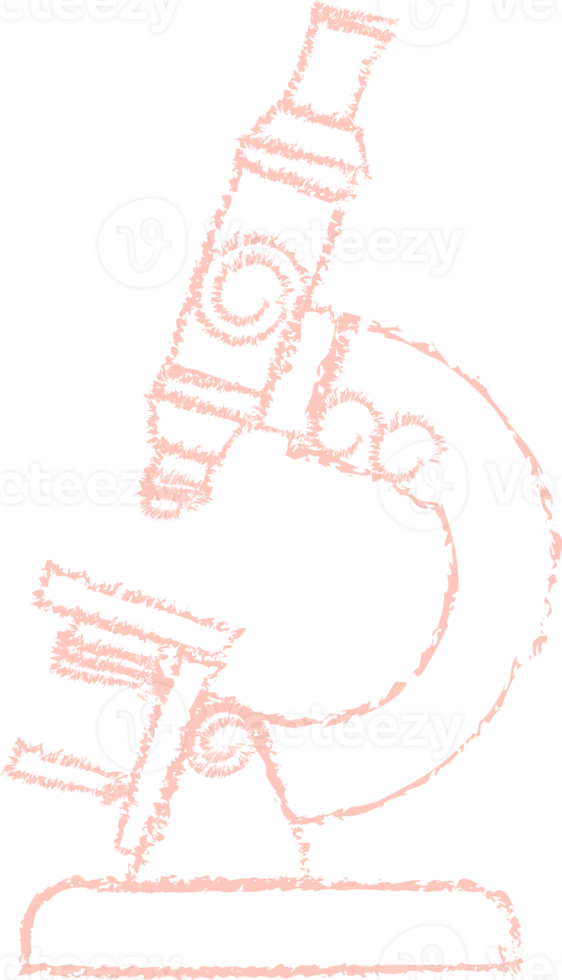 rose microscope craie ligne art png