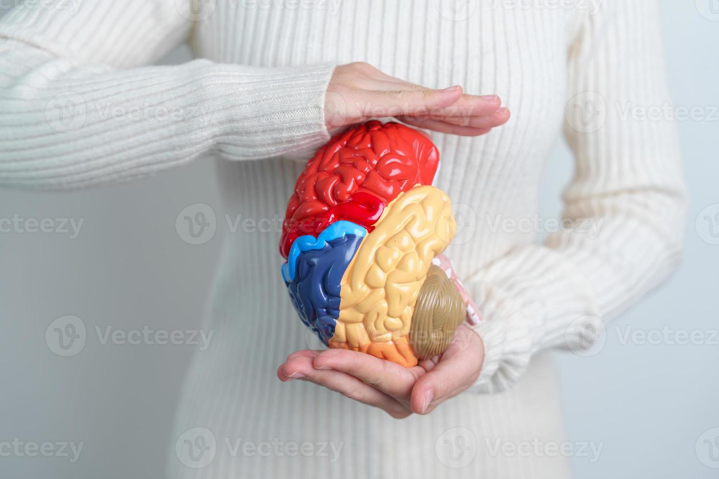 Woman holding human Brain model. World Brain Tumor day, Brain Stroke, Dementia, alzheimer, parkinson and world mental health concept photo