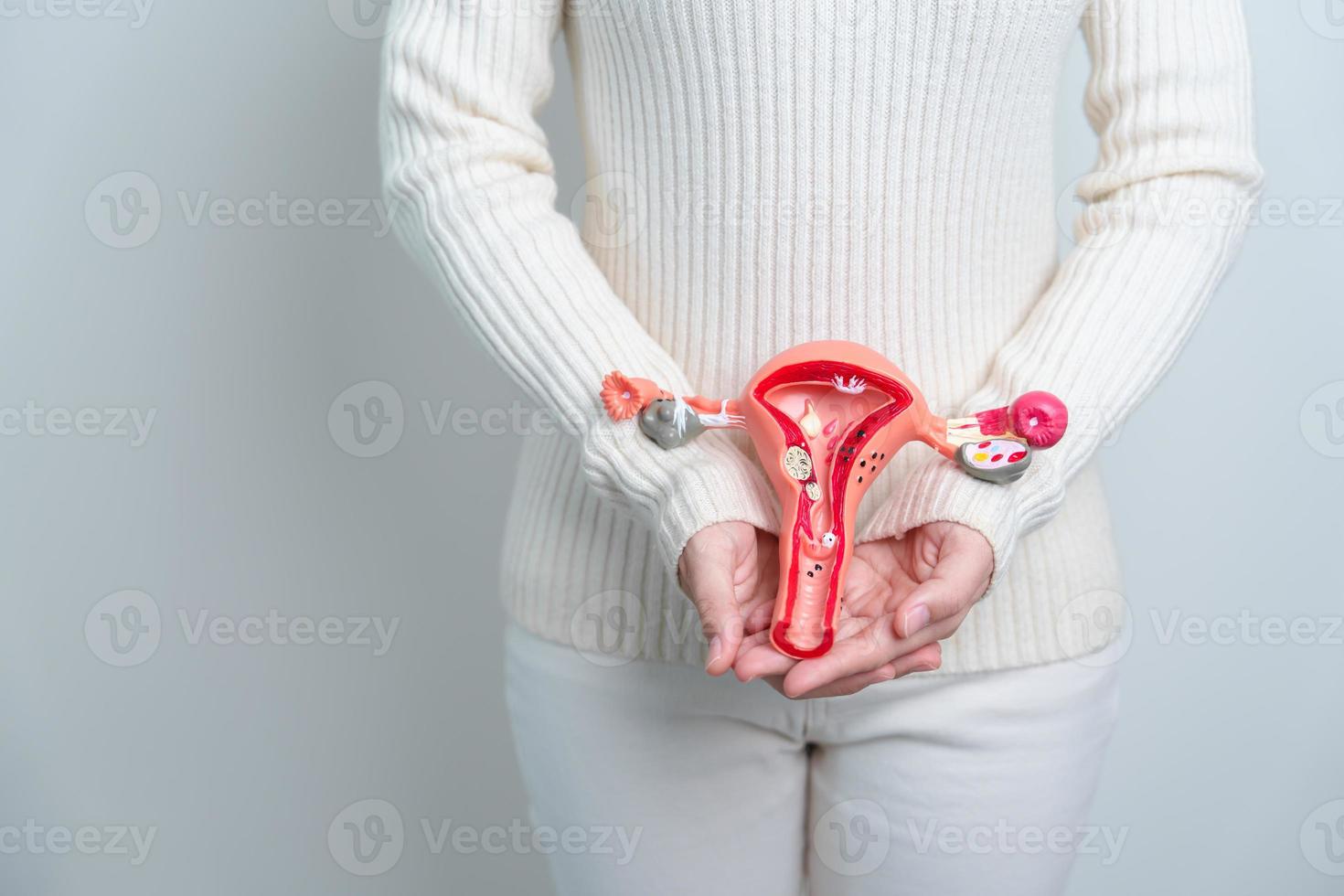 mujer sosteniendo modelo de útero y ovarios. cáncer de ovario y de cuello uterino, trastorno del cuello uterino, endometriosis, histerectomía, fibromas uterinos, sistema reproductivo y concepto de embarazo foto