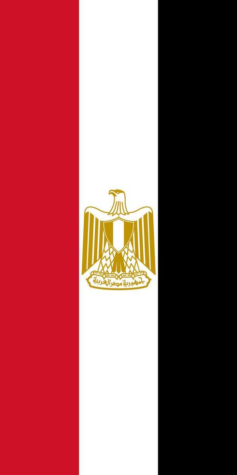 Hanging vertical flag vector