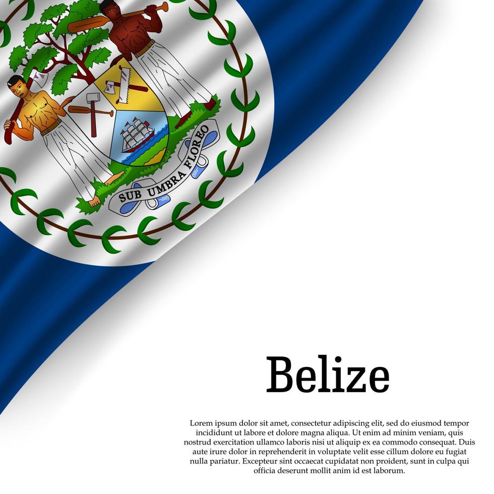 ondulación bandera de belice vector