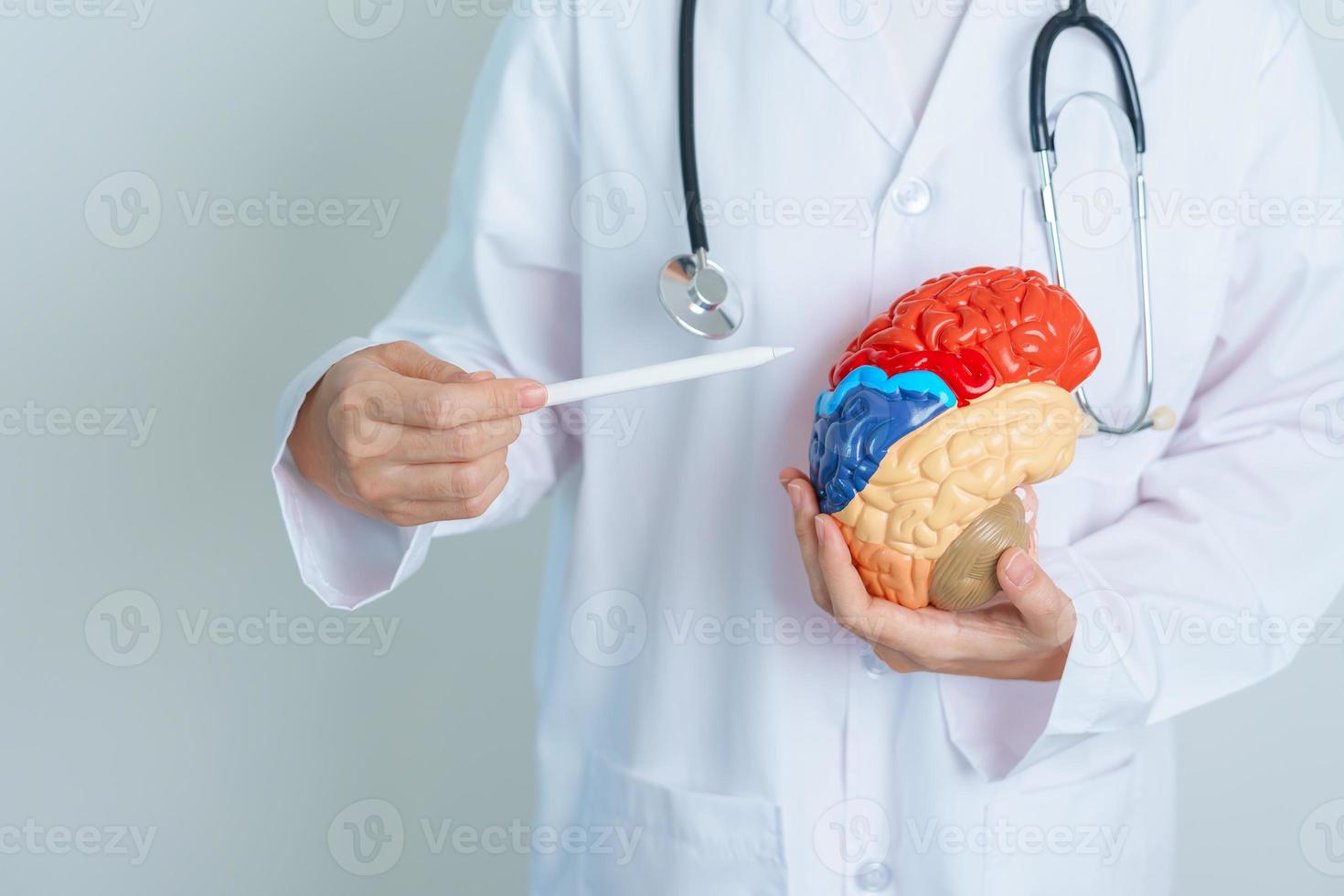 doctor holding human Brain model. World Brain Tumor day, Brain Stroke, Dementia, alzheimer, parkinson and world mental health concept photo